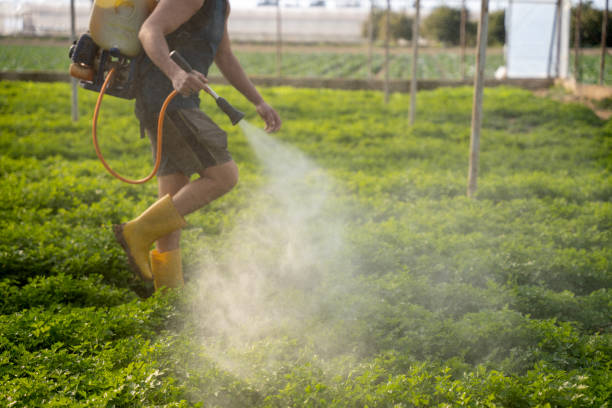 Best Local Pest Control Services  in North Barrington, IL