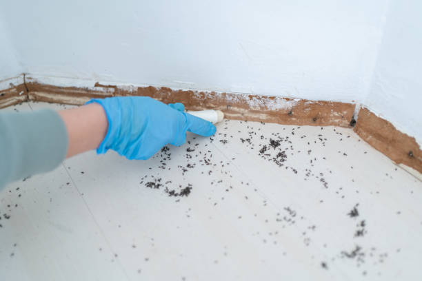 Best Pest Control Near Me  in North Barrington, IL